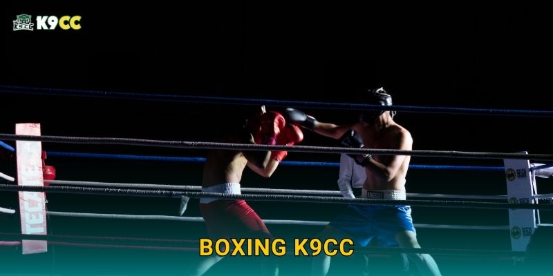 Boxing tốc độ cao – Kịch tính từng giây tại K9cc 2 Boxing K9cc