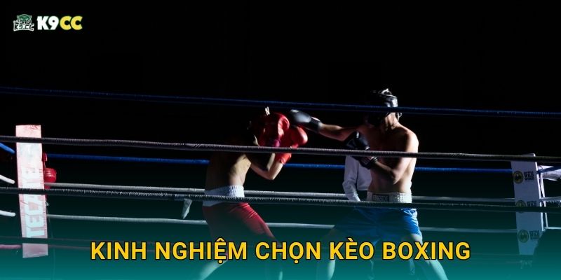 Boxing tốc độ cao – Kịch tính từng giây tại K9cc 3 Kinh nghiệm chọn kèo boxing